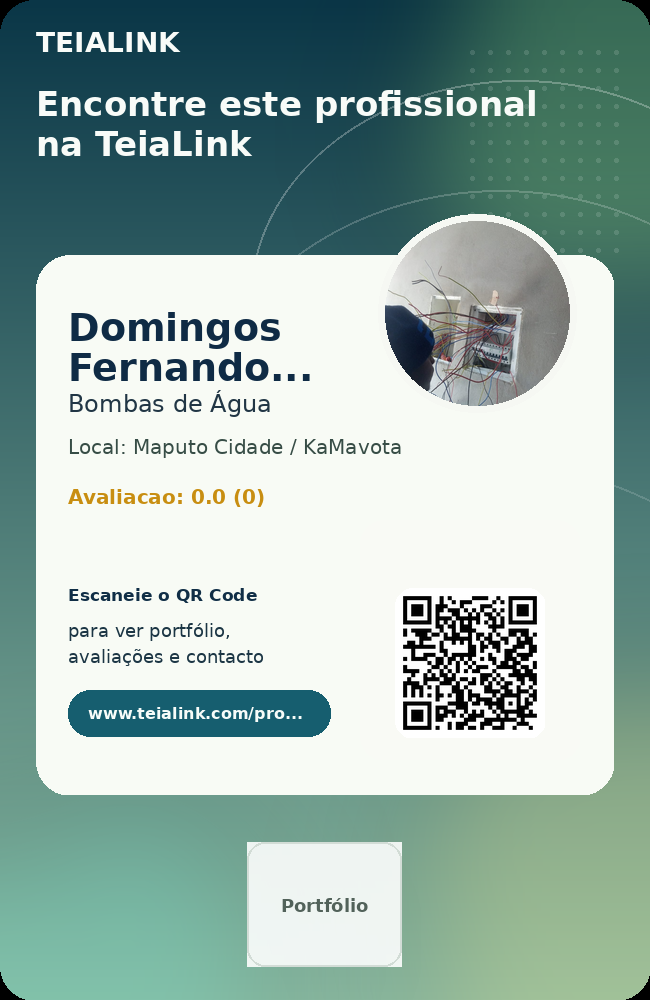Cartão frente de Domingos Fernando Massingue
